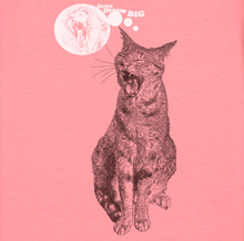 CAT - always dream big