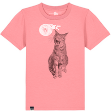 CAT - always dream big