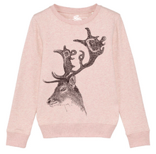 DEER - peace please