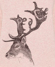 DEER - peace please