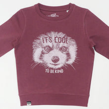 RED PANDA - It's cool to be kind