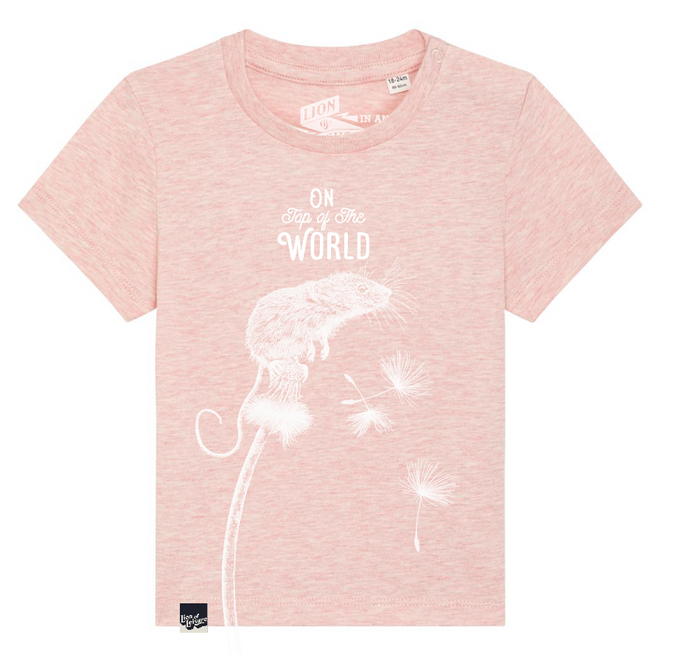 FIELD MOUSE - on top of the world