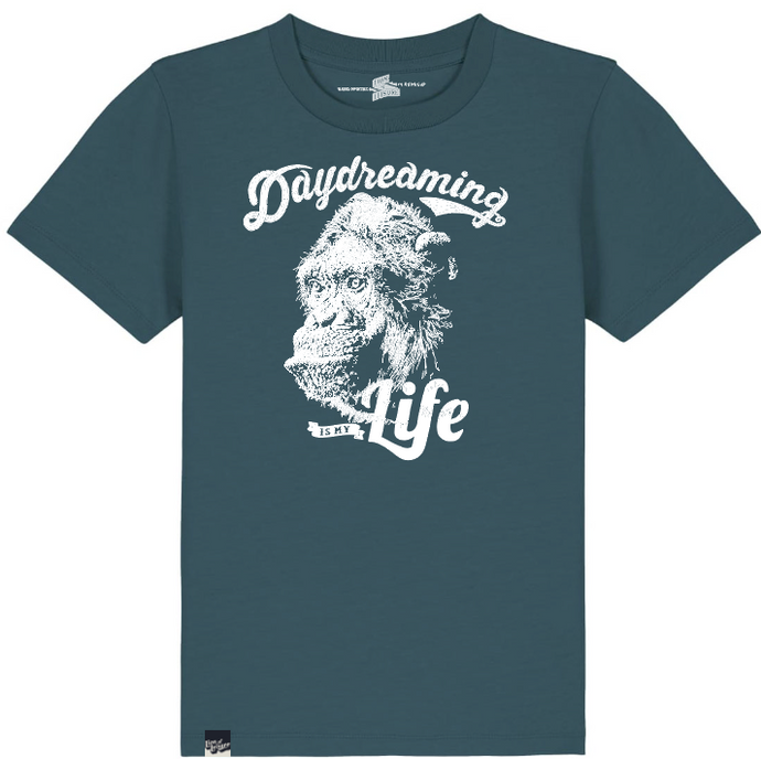 CHIMP - daydreaming is my life