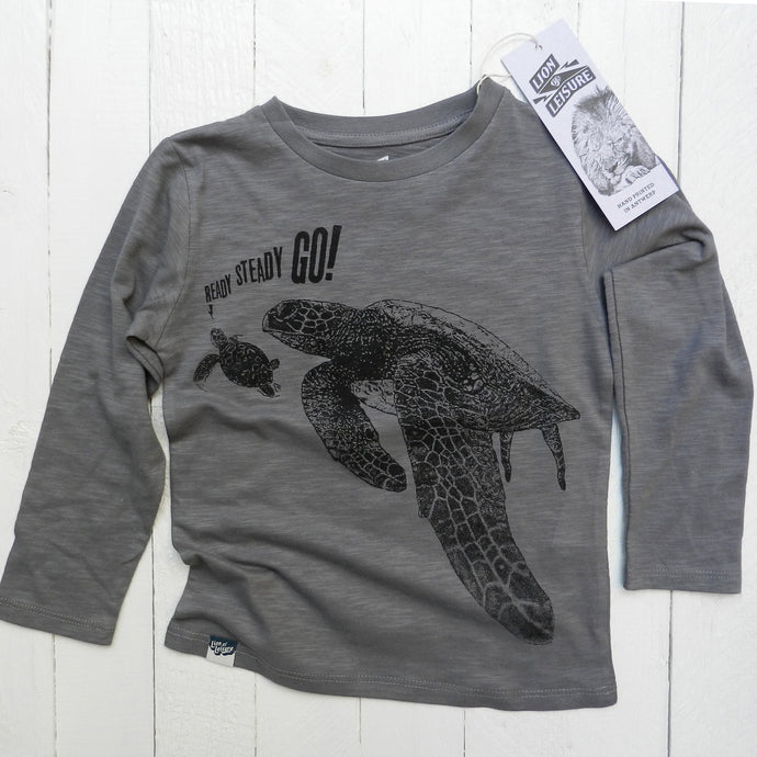 TURTLES - Ready, steady ... GO !