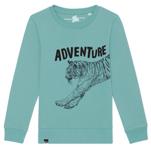 TIGER - adventure