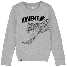 TIGER - adventure