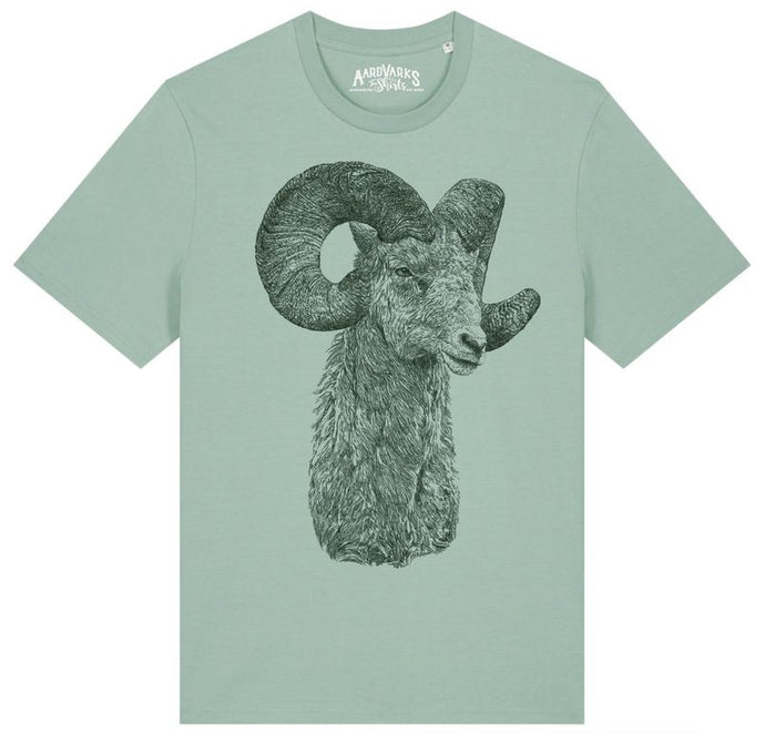 RAM - ramalama dingdong