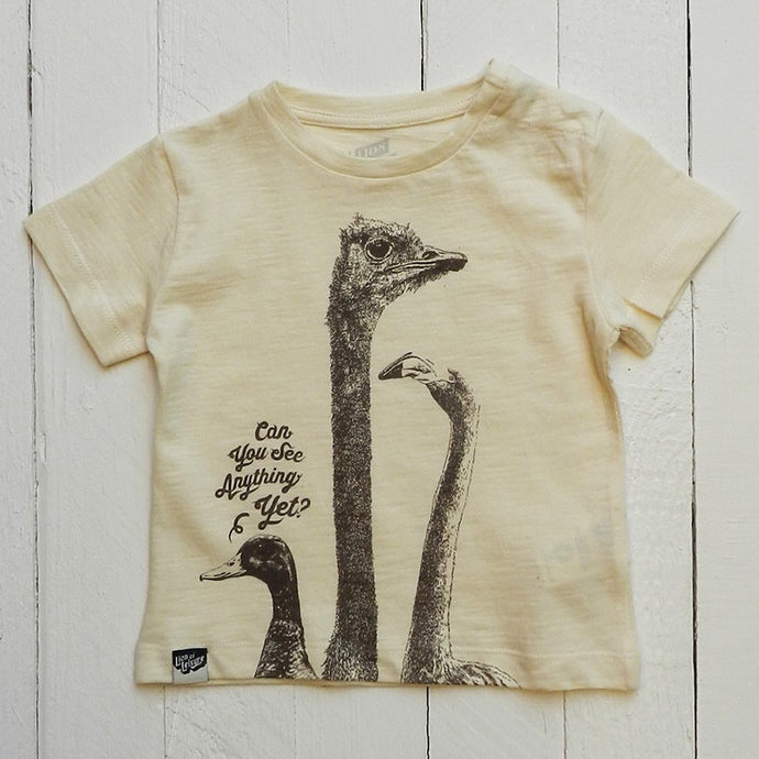 BIRDS - Can you see anything yet ?