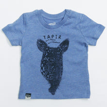 TAPIR - part mouse, part elephant