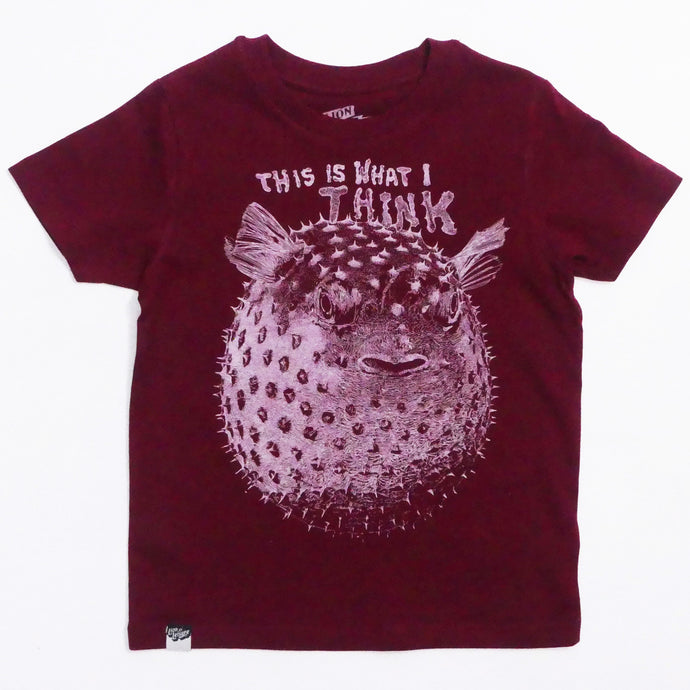 PUFFERFISH - this is what I think