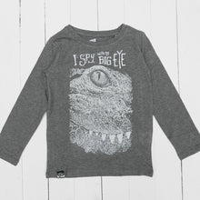 CROC - I spy with my big eye