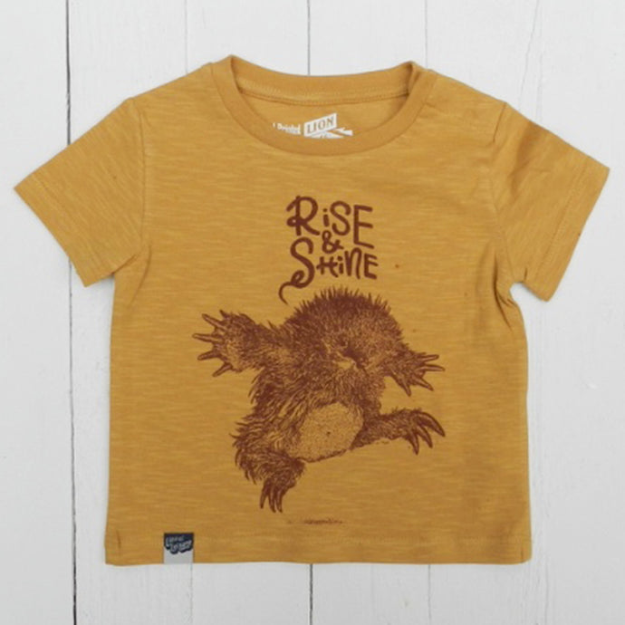 ECHIDNA - Rise & Shine
