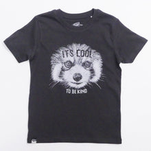 RED PANDA - It's cool to be kind