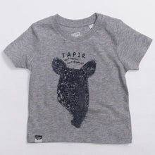 TAPIR - part mouse, part elephant