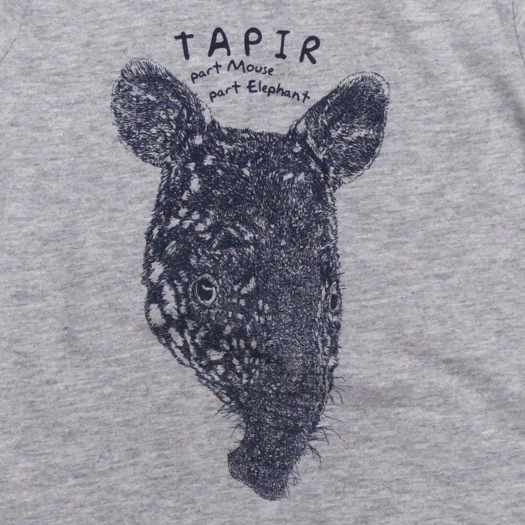TAPIR - part mouse, part elephant