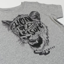 LION - Lion of Leisure logo