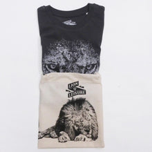 LION - king