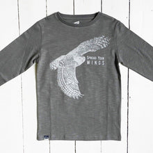 OWL - Spread your wings