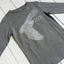 OWL - Spread your wings
