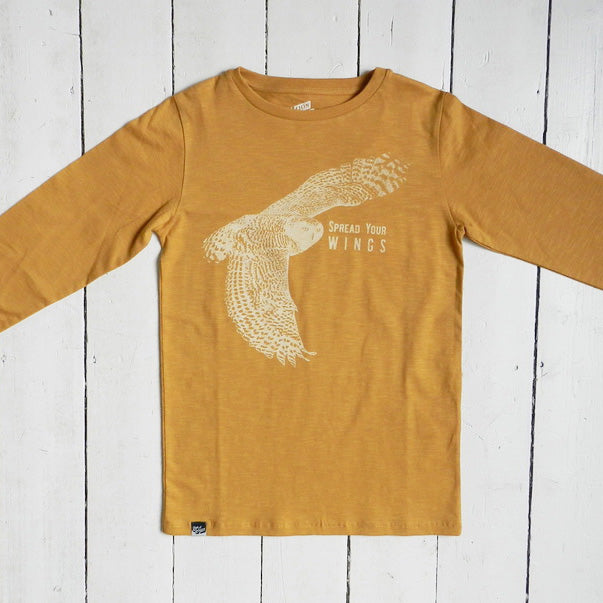 OWL - Spread your wings