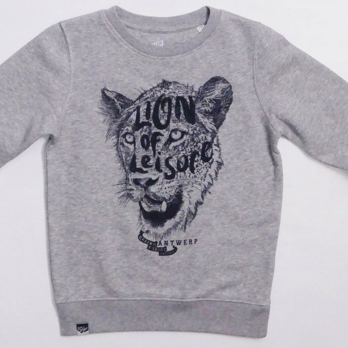 LION OF LEISURE - logo