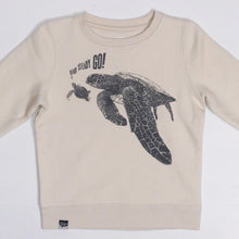 TURTLES - ready, steady, GO ...