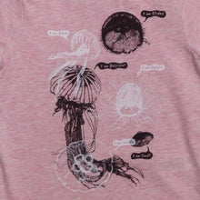 JELLYFISH identities