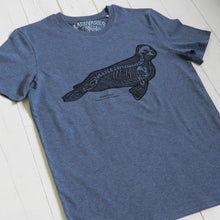 Weddell seal