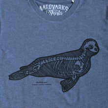 Weddell seal