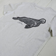 Weddell seal